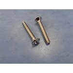 VIS CHROME POUR PLAQUE DE TROP-PLEIN (2x)